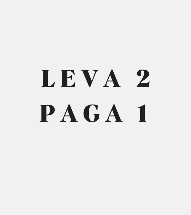 LEVA 2 PAGA 1