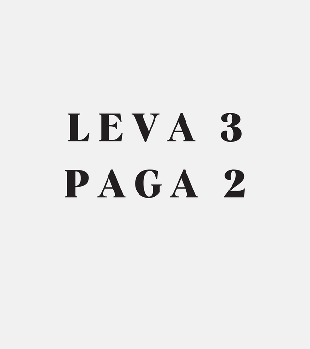LEVA 3 PAGA 2