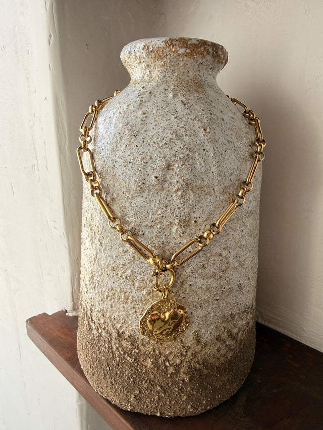 Colar de Elo Grosso Com Medalhão