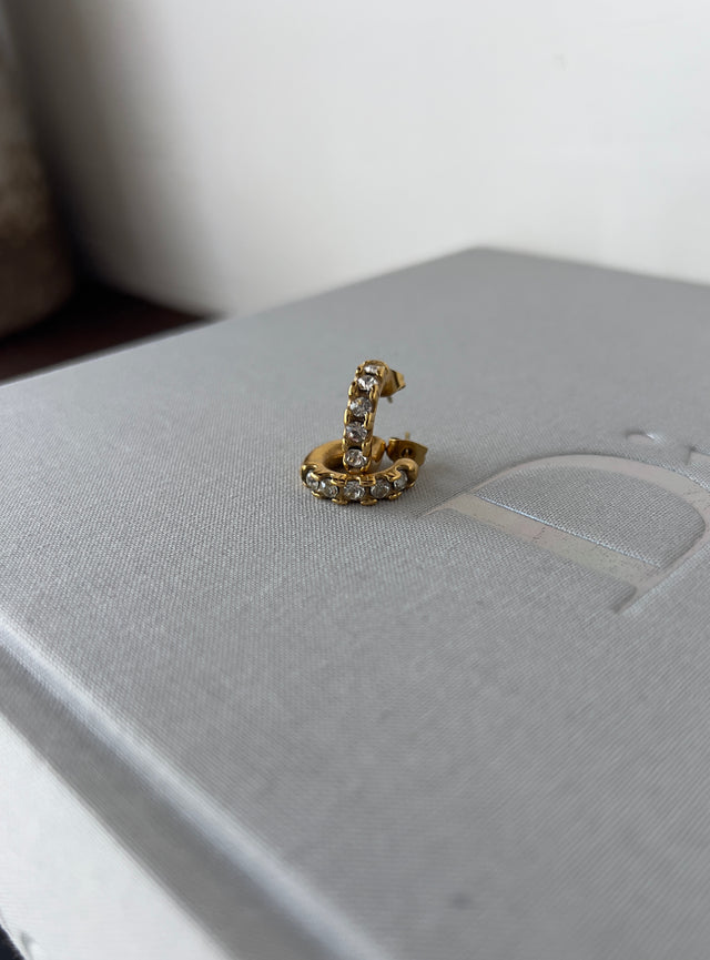 Hoop Earrings with Stones