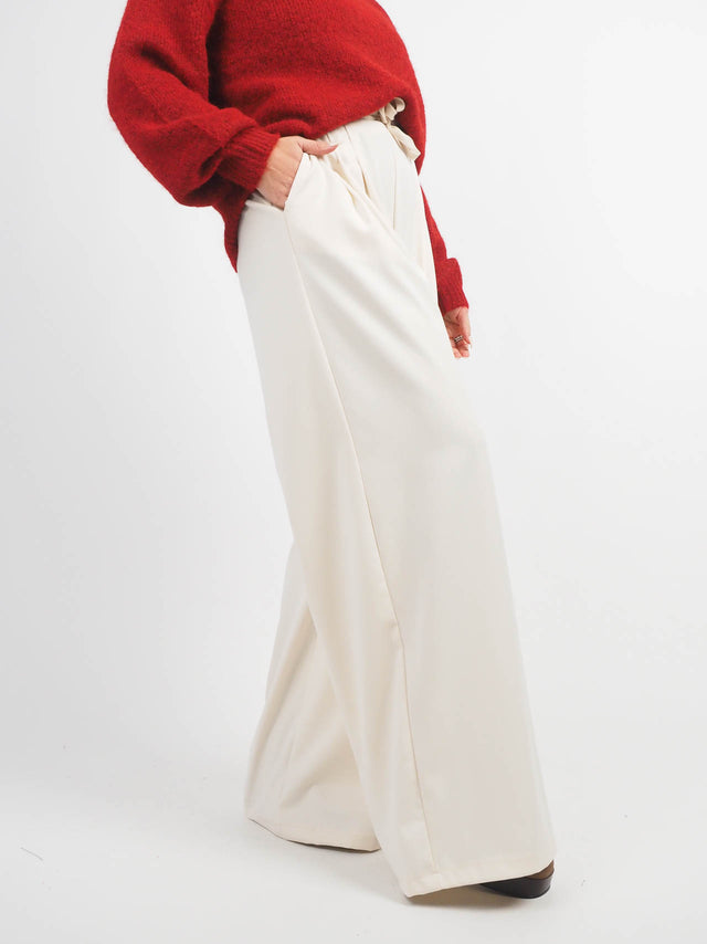 Pleated Wide Leg Pants